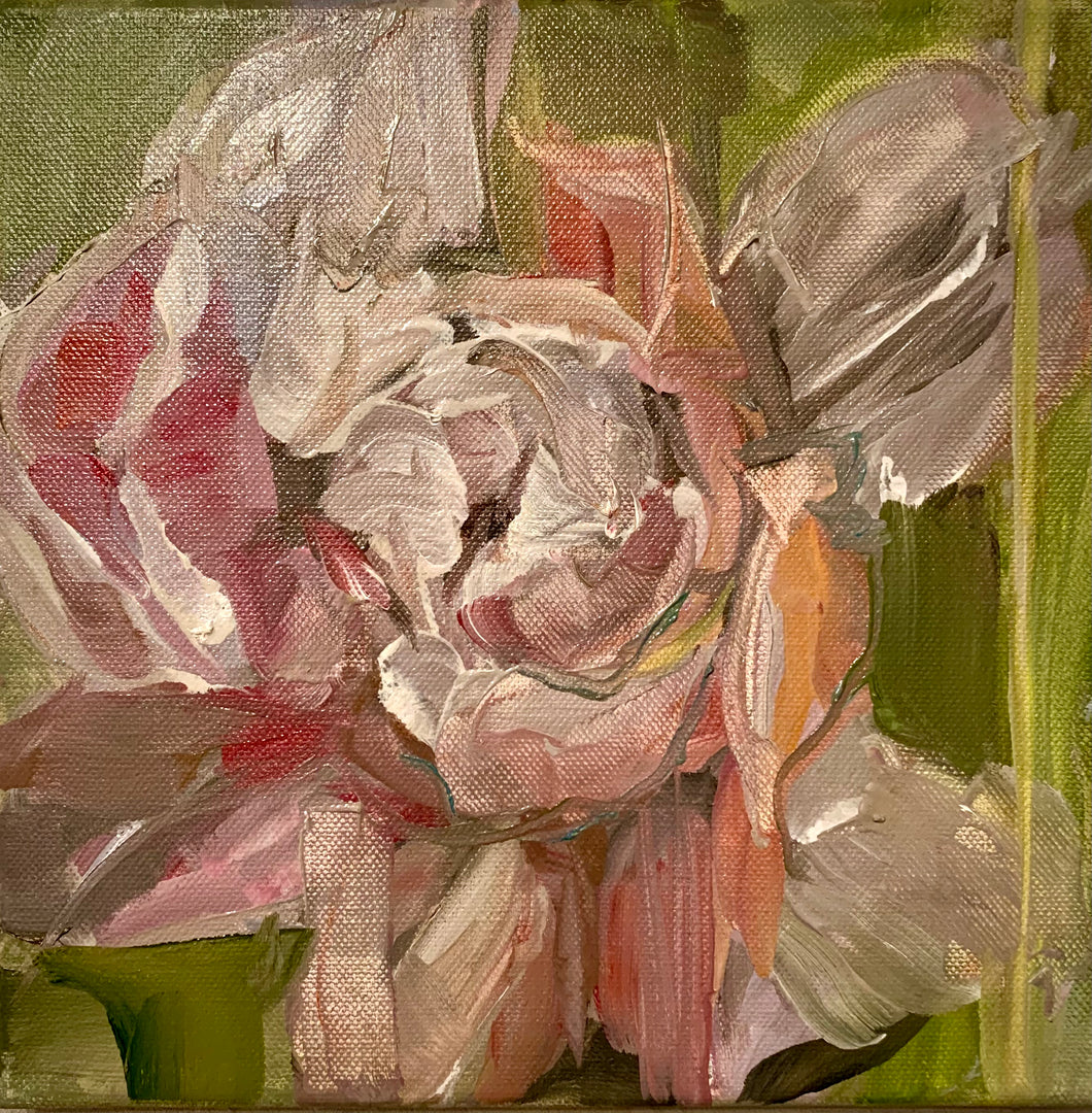 Peony