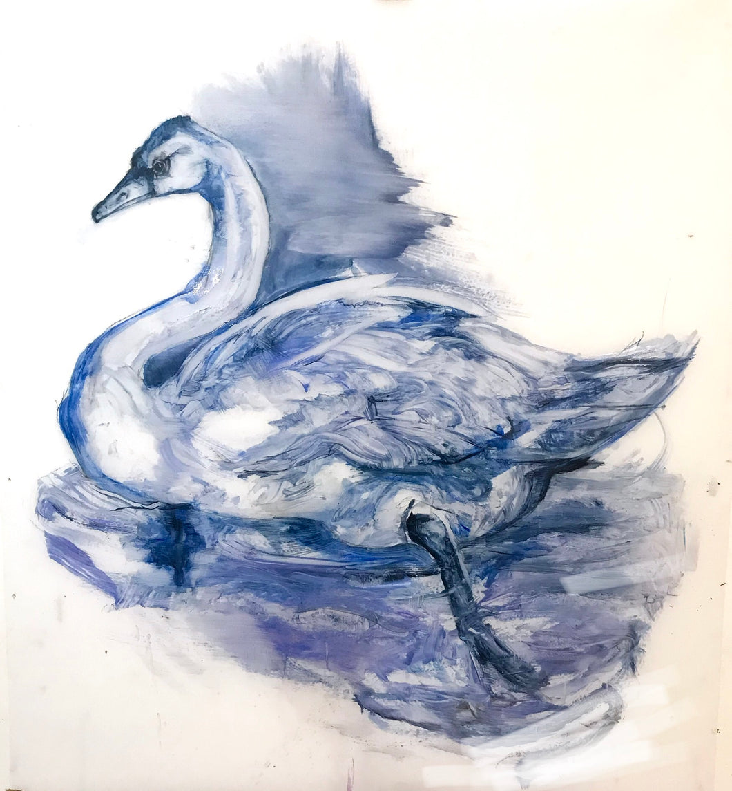 Blue Swan